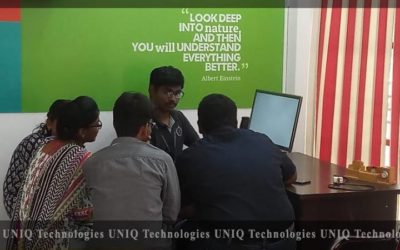 Internship at UNIQ Technologies with Practical Demo