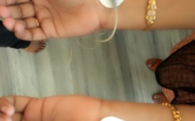 Internship for BioMedical Students